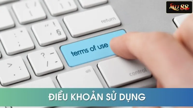 Hiểu rõ về điều khoản sử dụng của nhà cái
