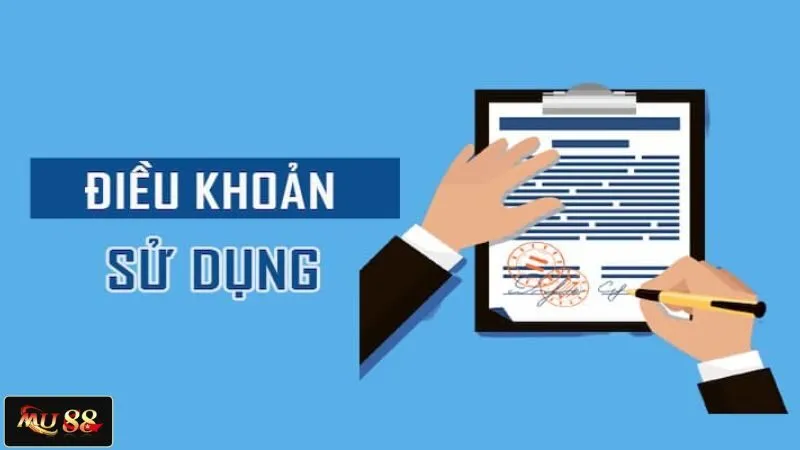 Quy định về tài khoản sử dụng của thành viên